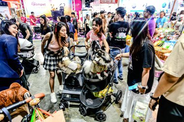 QSNCC 'de Tayland' daki Hayvan Fuarı 'nda. Ziyaretçiler, alışveriş için kendi hayvanlarını getirebiliyor ve şovdaki diğer evcil hayvanlarla eğlenebiliyorlar. Bangkok, Tayland. - 1 Mayıs 2025.