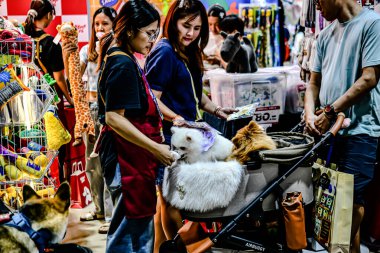 QSNCC 'de Tayland' daki Hayvan Fuarı 'nda. Ziyaretçiler, alışveriş için kendi hayvanlarını getirebiliyor ve şovdaki diğer evcil hayvanlarla eğlenebiliyorlar. Bangkok, Tayland. - 1 Mayıs 2025.
