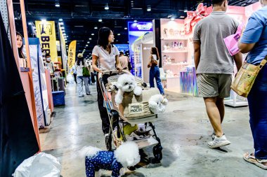 QSNCC 'de Tayland' daki Hayvan Fuarı 'nda. Ziyaretçiler, alışveriş için kendi hayvanlarını getirebiliyor ve şovdaki diğer evcil hayvanlarla eğlenebiliyorlar. Bangkok, Tayland. - 1 Mayıs 2025.