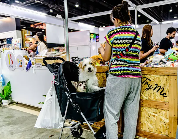QSNCC 'de Tayland' daki Hayvan Fuarı 'nda. Ziyaretçiler, alışveriş için kendi hayvanlarını getirebiliyor ve şovdaki diğer evcil hayvanlarla eğlenebiliyorlar. Bangkok, Tayland. - 1 Mayıs 2025.