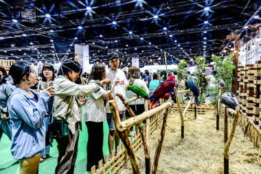 QSNCC 'de Tayland' daki Hayvan Fuarı 'nda. Ziyaretçiler, alışveriş için kendi hayvanlarını getirebiliyor ve şovdaki diğer evcil hayvanlarla eğlenebiliyorlar. Bangkok, Tayland. - 1 Mayıs 2025.