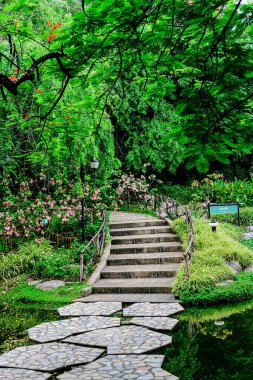 Parkın manzarası Chatuchak Parkı 'nda yerel halk ya da ziyaretçiler koşuyor ya da egzersiz yapmak için yürüyorlar. Bangkok, Tayland. - 3 Haziran 2025.