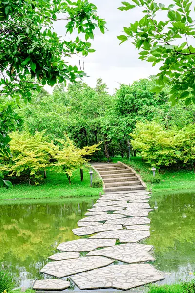 Parkın ve Tayland 'ın Bangkok şehrindeki Chatuchak' ın doğasının manzarası.