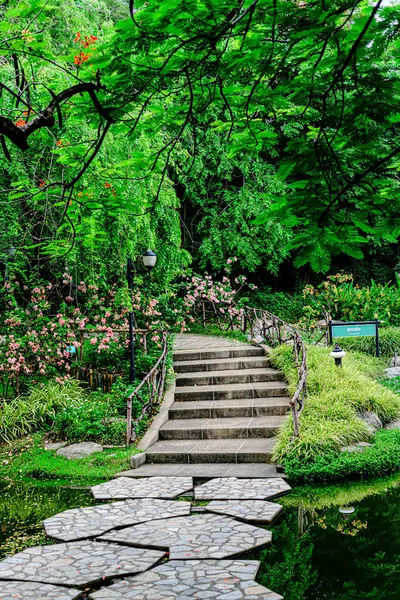 Parkın manzarası Chatuchak Parkı 'nda yerel halk ya da ziyaretçiler koşuyor ya da egzersiz yapmak için yürüyorlar. Bangkok, Tayland. - 3 Haziran 2025.