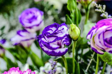 Güzel çiçek süslemeleri, çiçek arkaplanı, düğün dekorasyonu, gül deseni, renkli arka plan, seçici odak noktasında bir demet çiçek..