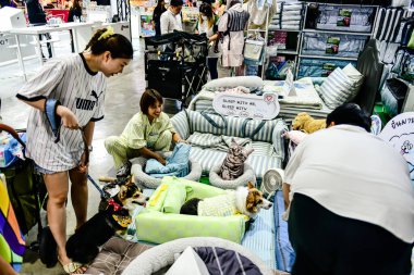 QSNCC 'de Tayland' da Hayvan Fuarı Şampiyonası. Ziyaretçiler evcil hayvanlarını alışverişe getirebilir ve diğer evcil hayvan severler ile etkinliklerin tadını çıkarabilirler. Bangkok, Tayland - 31 Temmuz 2025.
