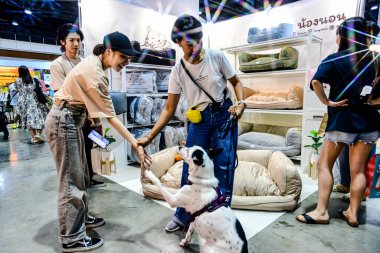 QSNCC 'de Tayland' da Hayvan Fuarı Şampiyonası. Ziyaretçiler evcil hayvanlarını alışverişe getirebilir ve diğer evcil hayvan severler ile etkinliklerin tadını çıkarabilirler. Bangkok, Tayland - 31 Temmuz 2025.
