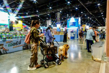 QSNCC 'de Tayland' da Hayvan Fuarı Şampiyonası. Ziyaretçiler evcil hayvanlarını alışverişe getirebilir ve diğer evcil hayvan severler ile etkinliklerin tadını çıkarabilirler. Bangkok, Tayland - 31 Temmuz 2025.