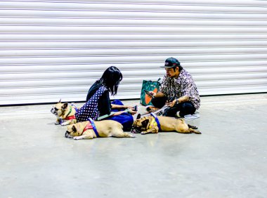 QSNCC 'de Tayland' da Hayvan Fuarı. Ziyaretçiler, alışveriş için kendi hayvanlarını getirebilir ve diğer evcil hayvan severler ile etkinliklerin tadını çıkarabilirler. Bangkok, Tayland - 2 Ağustos 2025.