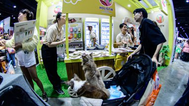 QSNCC 'de Tayland' da Hayvan Fuarı. Ziyaretçiler, alışveriş için kendi hayvanlarını getirebilir ve diğer evcil hayvan severler ile etkinliklerin tadını çıkarabilirler. Bangkok, Tayland - 2 Ağustos 2025.