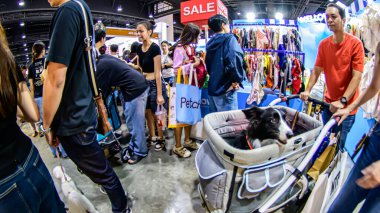 QSNCC 'de Tayland' da Hayvan Fuarı. Ziyaretçiler, alışveriş için kendi hayvanlarını getirebilir ve diğer evcil hayvan severler ile etkinliklerin tadını çıkarabilirler. Bangkok, Tayland - 2 Ağustos 2025.