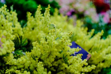 Kapalı ve açık hava dekorasyonları için güzel yapay çiçekler, çiçek arkaplanı, arka plan düğün süsü, gül çiçeği ve benzeri şeyler..