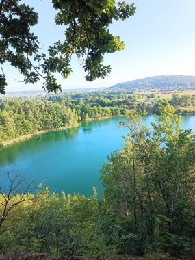 Ormandaki bir göletin güzel manzarası