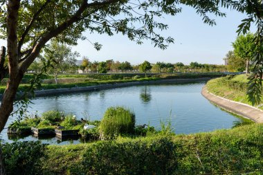 Taichung Central Park 'ta. Xitun Bölgesi, Shuinan Ekonomi ve Ticaret Bölgesi. Taichung Şehri, Tayvan.