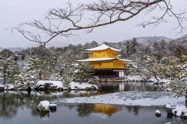 Snowy Kinkaku-ji Temple in winter. Famous tourist attraction in Kyoto, Japan. The Golden Pavilion, Kinkakuji, rokuon-ji, rokuon-ji. Snow landscape.