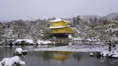 Kışın Karlı Kinkaku-ji Tapınağı. Japonya 'nın Kyoto şehrinde ünlü bir turizm merkezi. Altın Pavyon, Kinkakuji, rokuon-ji, rokuon-ji. Kar manzarası.
