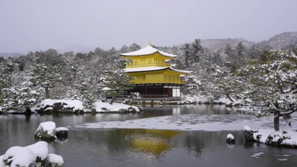 Templo Kinkaku Nevado Invierno Famosa Atracción Turística Kyoto Japón Pabellón — Vídeo de stock
