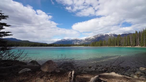 Kanadyjski Park Narodowy Rockies Jasper Zachwyca Przyrodą Rzeka Athabasca Góry — Wideo stockowe