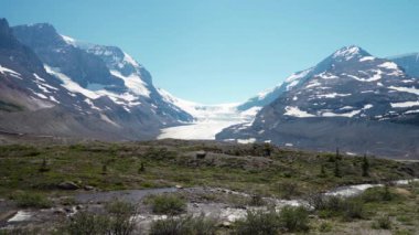 Columbia Icefield Glacier in 2021 summer. Jasper National Park beautiful landscape. Alberta, Canada. Canadian Rockies Mountains nature scenery.