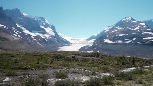 Columbia Icefield Glacier 2021 Summer Jasper National Park Beautiful Landscape — 图库视频影像