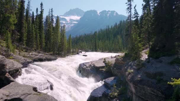 Mistaya Canyon Und Mistaya River Banff National Park Wunderschöne Landschaft — Stockvideo
