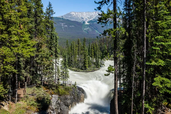 Sunwapta Vízesés Kanadai Sziklás Hegység Gyönyörű Természeti Táj Jasper Nemzeti Stock Kép