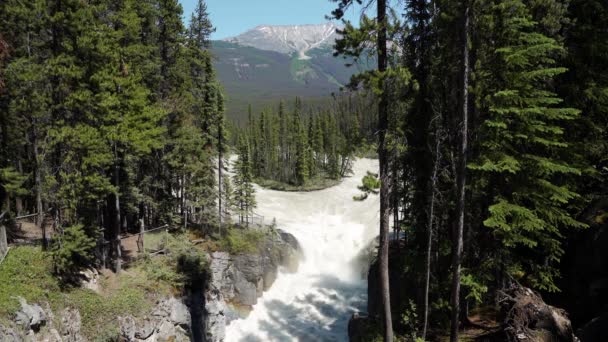 Sunwapta Falls Montagne Rocciose Canadesi Bellissimo Paesaggio Naturale Parco Nazionale — Video Stock