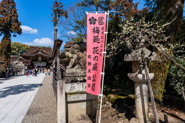 Kyoto Japan March 2023 Kitano Tenmangu Shrine Plum Pllossom Festival — стокове фото