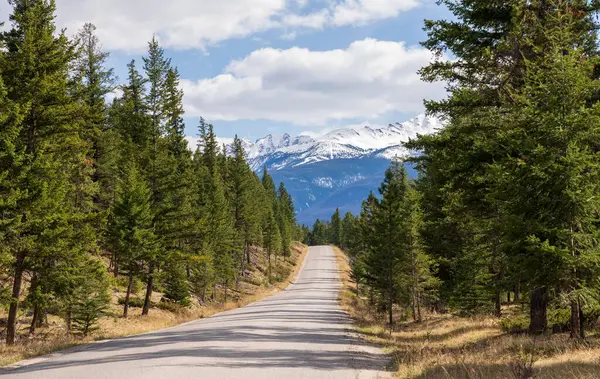 Canadian Rockies Rural Road Landscape Forest Mountain Background Jasper National — Foto de Stock
