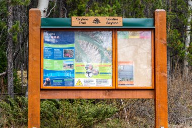 Alberta, Kanada - 11 Mayıs 2021: Skyline Trail 'in göstergesi. Jasper Ulusal Parkı.