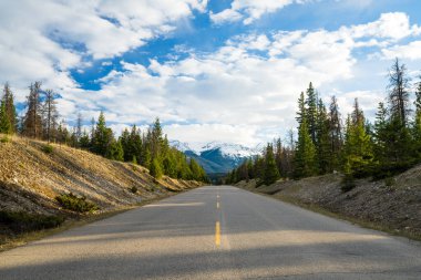 Yaz mevsiminde ormanda dağ yolu. Maligne Lake Yolu. Jasper Ulusal Parkı, Kanada Kayalıkları, Alberta, Kanada.