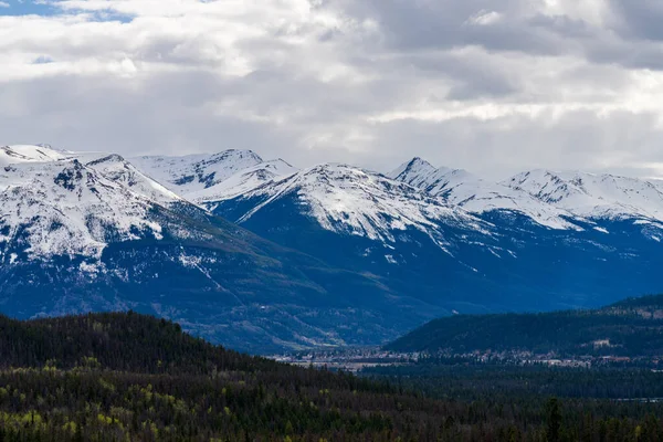 公正な森 雪の山のキャップ 背景には青い空と白い雲 カナダのロッキー山脈 ジャスパー国立公園夏 カナダのアルバータ州 — ストック写真
