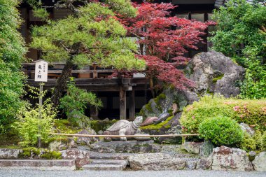 Kyoto, Japonya - 12 Haziran 2023: Matsunoo Taisha Tapınağında Kaplumbağa Taşı.