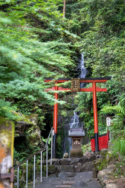 Kyoto Giappone Giugno 2023 Cascata Delle Tartarughe Nel Santuario Matsunoo — Foto Stock