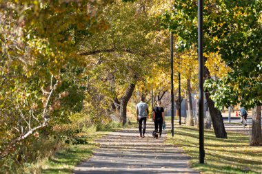 İnsanlar sonbaharda Bow River Pathway 'de evcil hayvanlarıyla yürüyor. Calgary şehir merkezinde. Alberta, Kanada.