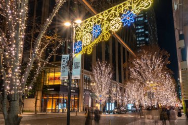 Tokyo, Japonya - 19 Aralık 2018 : Tokyo Marunouchi kış aydınlatma festivali, şehirdeki ünlü romantik ışık etkinlikleri, güzel manzara, popüler turistik mekanlar, tatil için seyahat yerleri