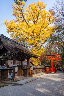 Kyoto, Japonya - 6 Aralık 2023: Kawai Tapınağı Shimogamo tapınağının bulunduğu yerdir. Kawai tapınağı kadınlar için bir tapınaktır..