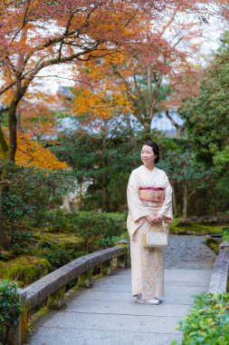 A woman wearing kimono standing on a Japanese style stone arch bridge. Kyoto, Japan. Maple leaves turning red in the autumn season. Fall foliage.