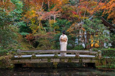 A woman wearing kimono standing on a Japanese style stone arch bridge. Kyoto, Japan. Maple leaves turning red in the autumn season. Fall foliage.