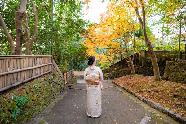 Back view a woman wearing Japanese traditional kimono. Kyoto, Japan. Maple leaves turning red in the autumn season. Fall foliage.
