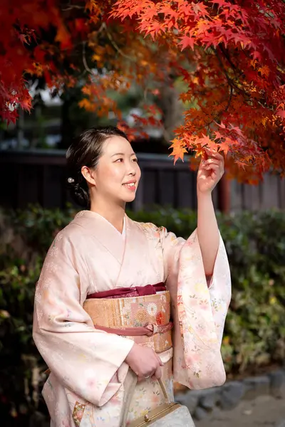 Japanese Female Kimono Portrait photography. Kyoto, Japan. Maple leaves turning red in the autumn season. Fall foliage.