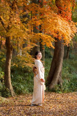 Back view a woman wearing Japanese traditional kimono. Kyoto, Japan. Maple leaves turning red in the autumn season. Fall foliage.