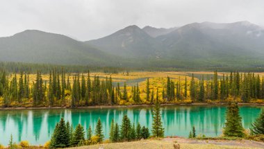 Ters bataklık bakış açısı. Bow River sonbahar mevsiminde, dağlar arka planda. Banff Ulusal Parkı, Kanada Kayalıkları, Alberta, Kanada.