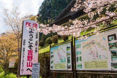 Yoshino Bölgesi, Nara Bölgesi, Japonya - 3 Nisan 2023: Yoshino Dağı, Yoshino İstasyonu 'nda kiraz çiçekleri.