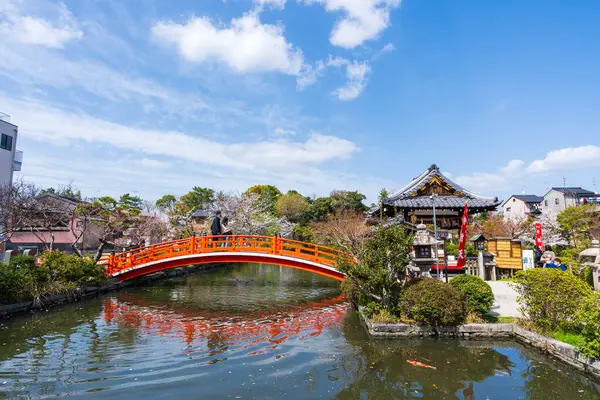 Kyoto, Japonya - 27 Mart 2023: Shinsenen Bahçesi. Gölette tam çiçek açan kiraz çiçekleri ve yansımaları.