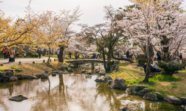 Kyoto, Japonya - 27 Mart 2023: Kiraz çiçeği festivali için Higashiyama Bölgesi 'ndeki Yasaka Tapınağı' nın yanındaki Maruyama Park 'a gelen kalabalık.