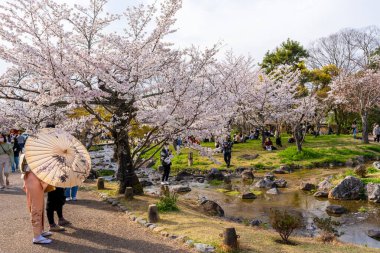 Kyoto, Japonya - 27 Mart 2023: Kiraz çiçeği festivali için Higashiyama Bölgesi 'ndeki Yasaka Tapınağı' nın yanındaki Maruyama Park 'a gelen kalabalık.