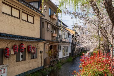 Kyoto, Japonya - 27 Mart 2023: Takase Nehri (Takase-gawa Kanalı) ve Kiyamachi Caddesi boyunca kiraz çiçekleri. Japon eski halk evleri.