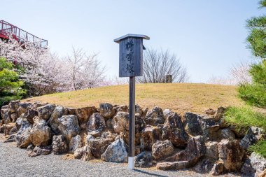 Japonya, Kyoto 'da kiraz çiçekli Shogunzuka Tepesi. Japonca çeviri: Shorenin Tapınağı Shogunzuka Tepesi.