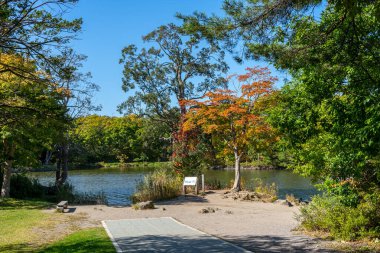 Onuma Quasi Ulusal Parkı güneşli bir günde Onuma Gölü yürüyüş sahaları. Oshima Bölgesi, Nanae Kasabası, Hokkaido, Japonya. Çevirisi: Batı Nishi-Oshima Adası